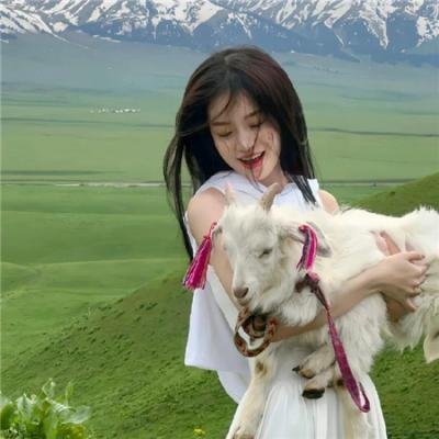 理想与现实 封面