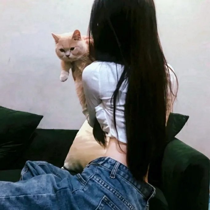 派对女郎 封面